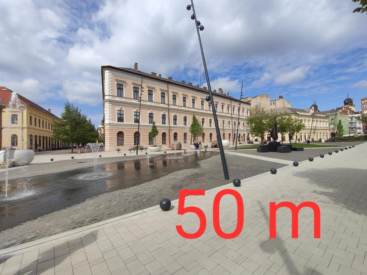 Апартаменты Kossuth Garden Дебрецен Экстерьер фото